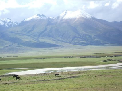 Nepalese bergen